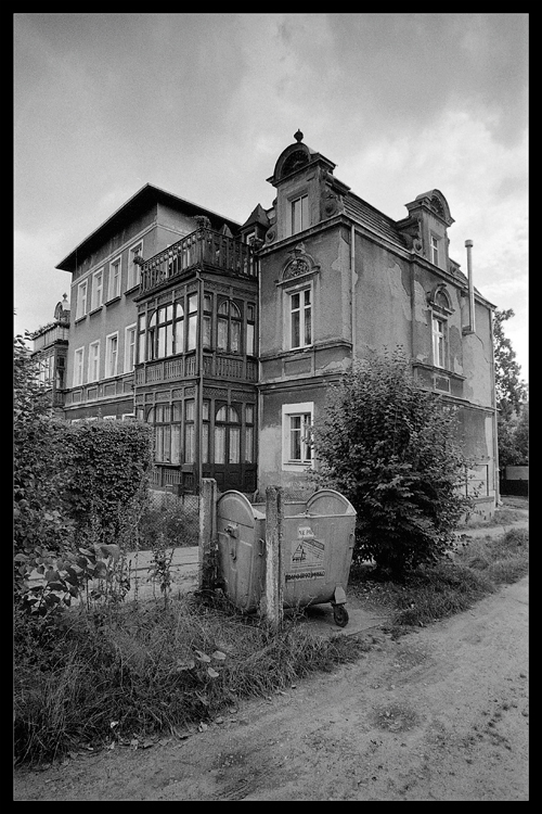 Oliwka