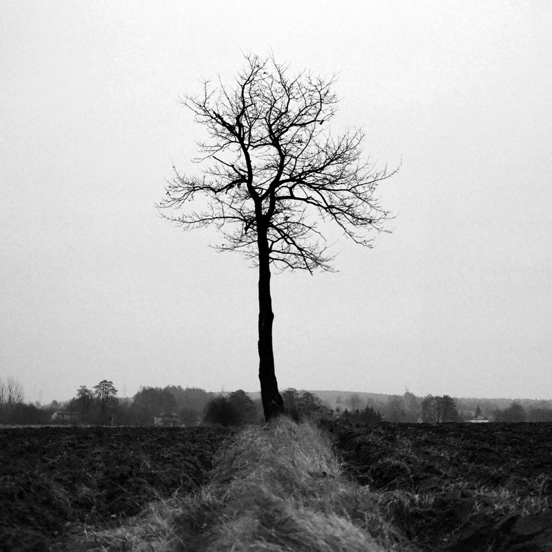 Coś o samotności...2