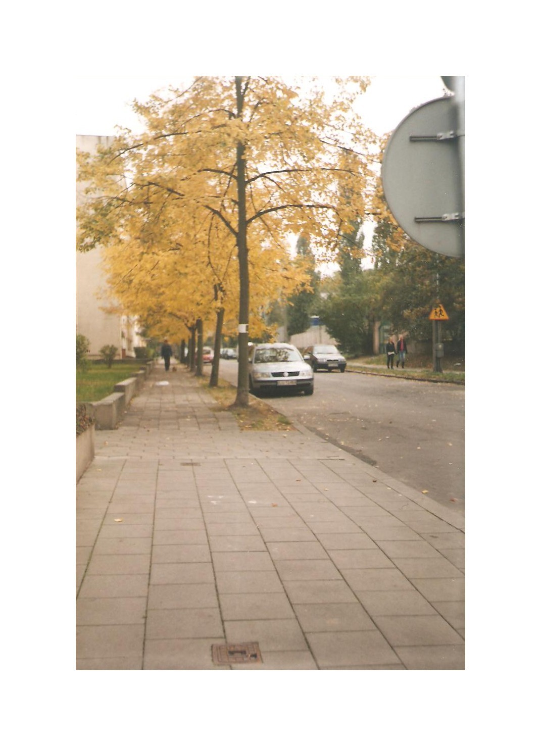 jesień
