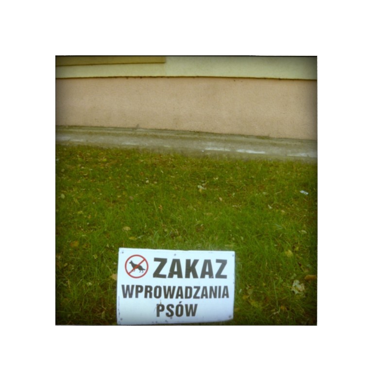 zakaz