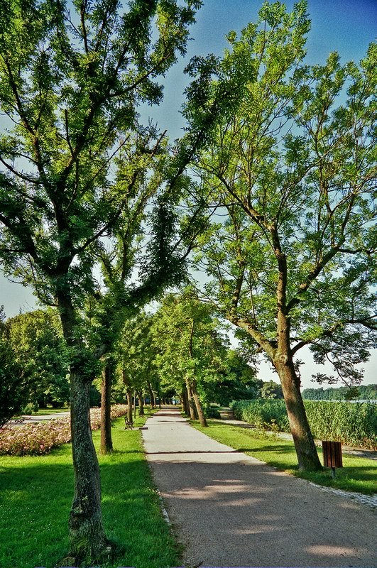 Szczecinek_park-1