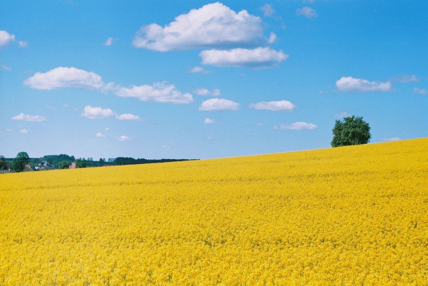 Odskocznia