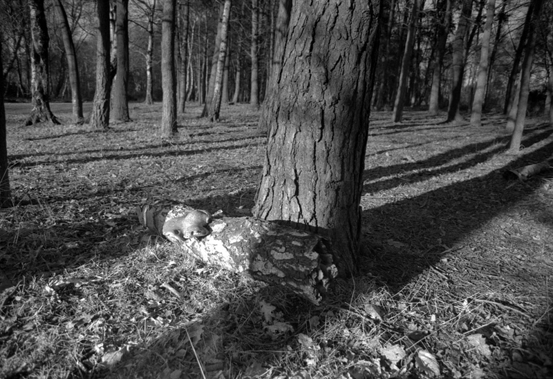 Cienie poprzecznie wzdłużne