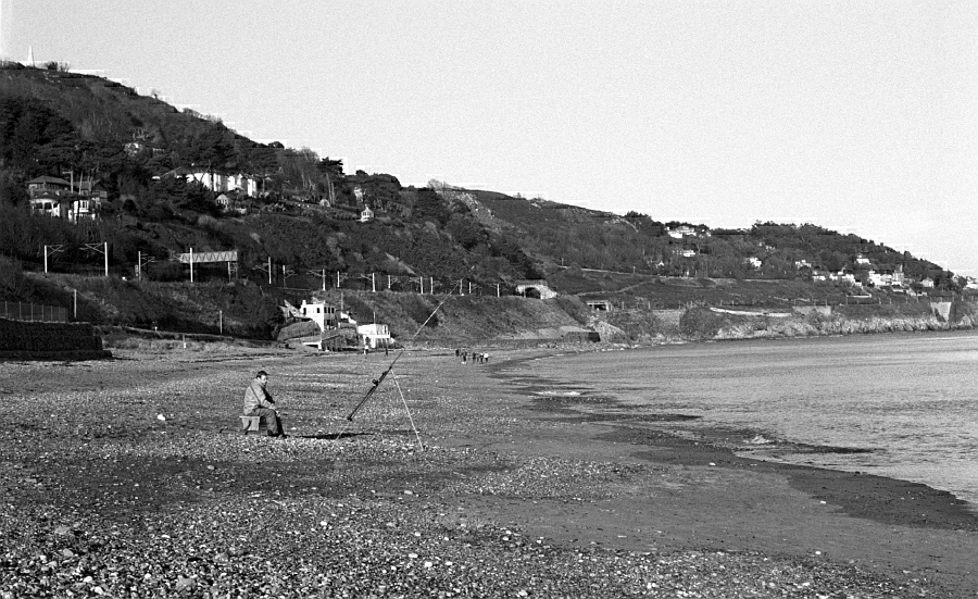 masz juz jakies rybki?