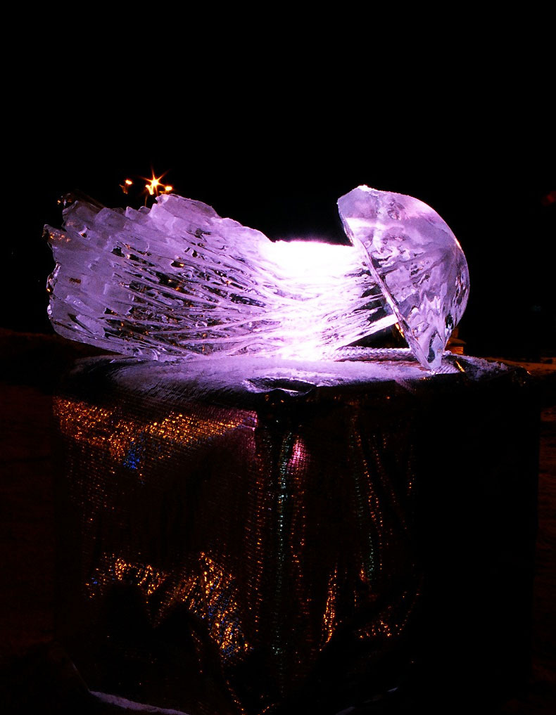 Meduza