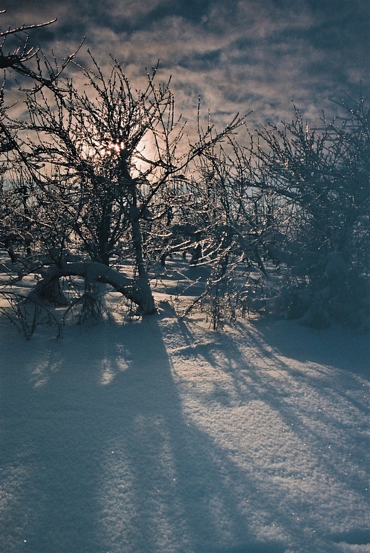 -18 stopni Celsjusza