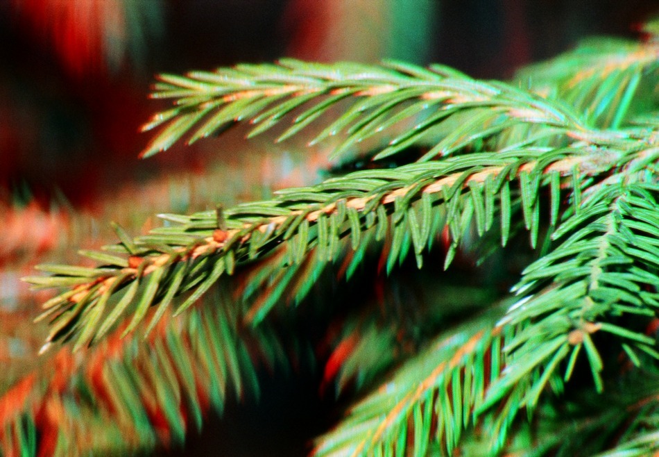 Igiełki 3D
