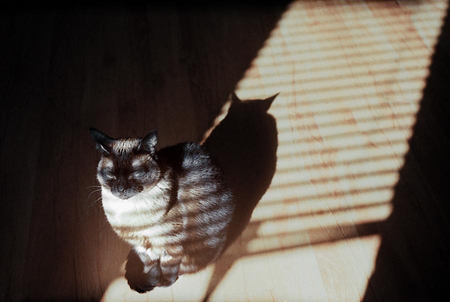 klarysa sie wygrzewa