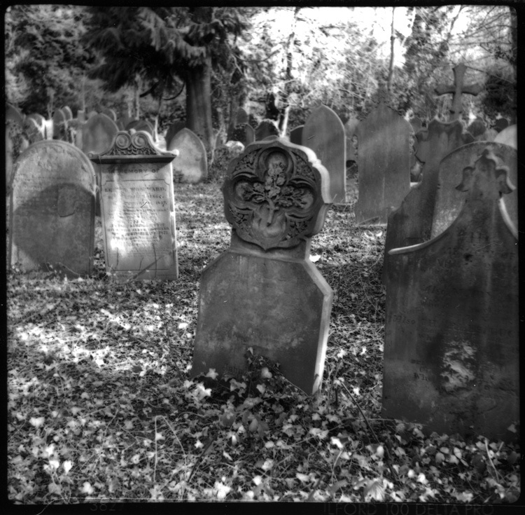 Każdy kiedyś zrobi zdjęcie grobów