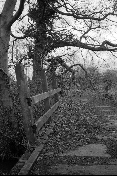 Gaik, steczka, mostek, rzeczka...