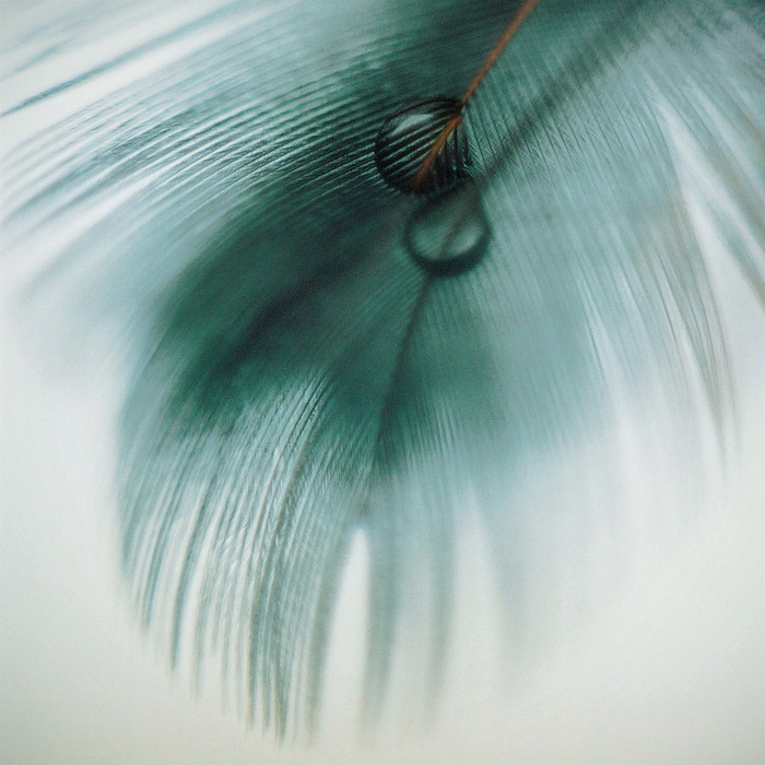 Gentleness