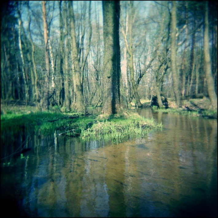Wydmówka