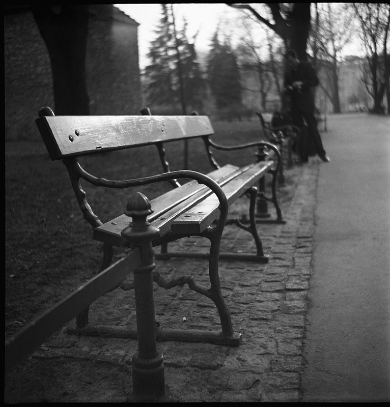 Poranne planty krakowskie