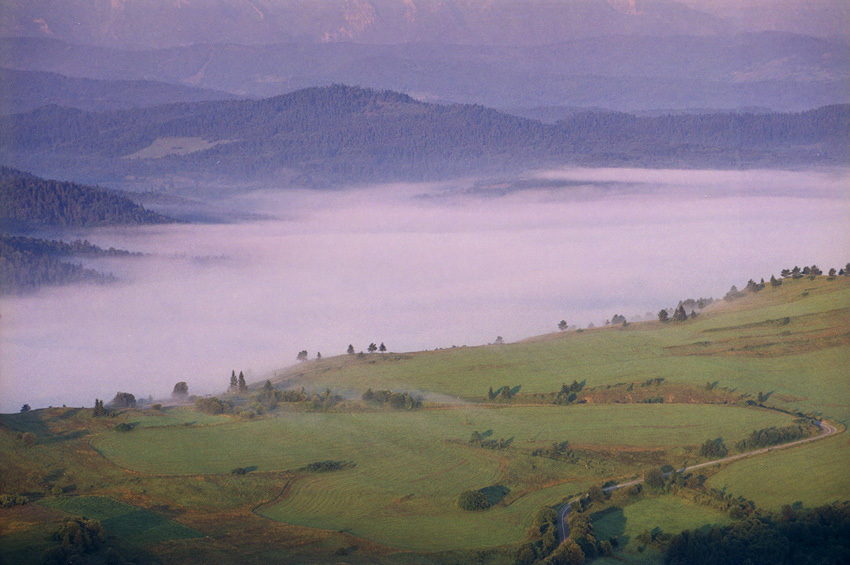 O kolorach w Pieninach