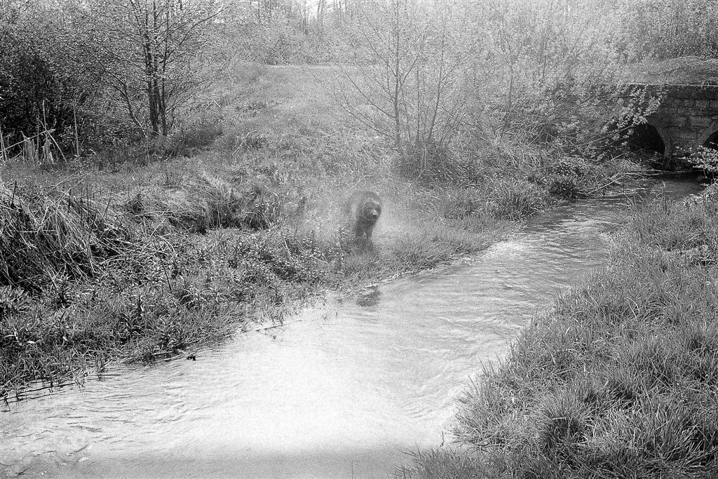 Roztoczańskie klimaty cz.2