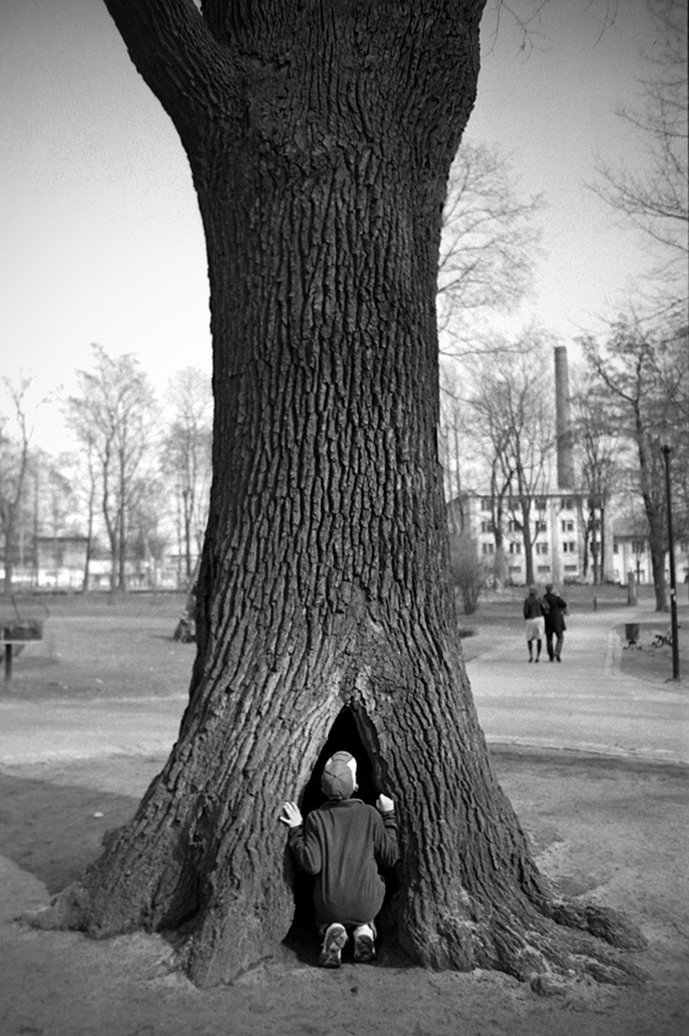 Gliwice, park