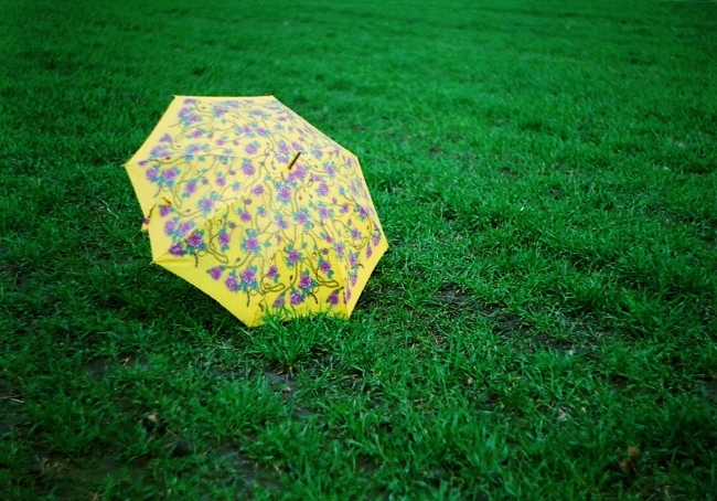 żółta parasolka
