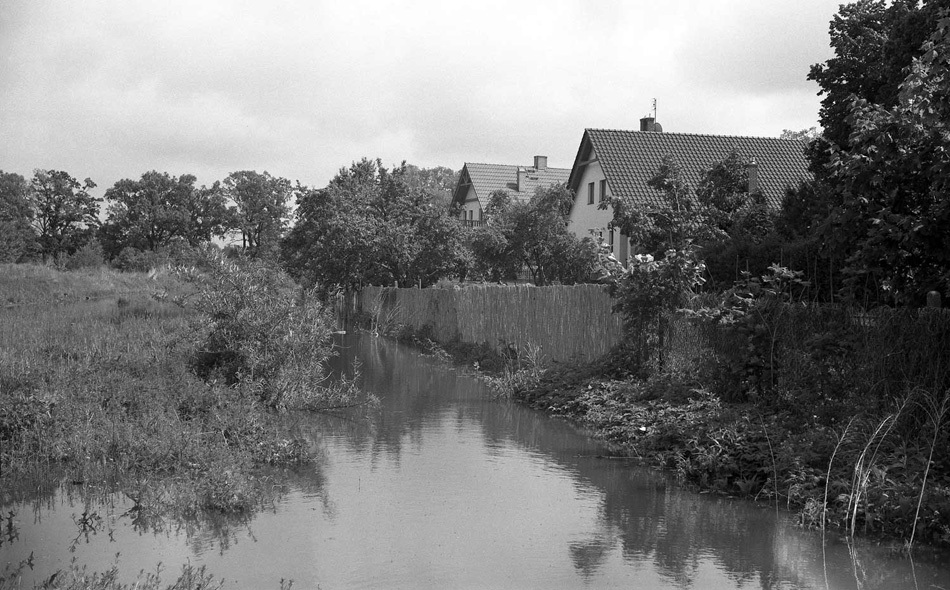 Wąską ścieżką przez ogródek...