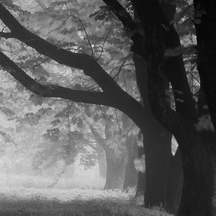 Poranne takie opowieści