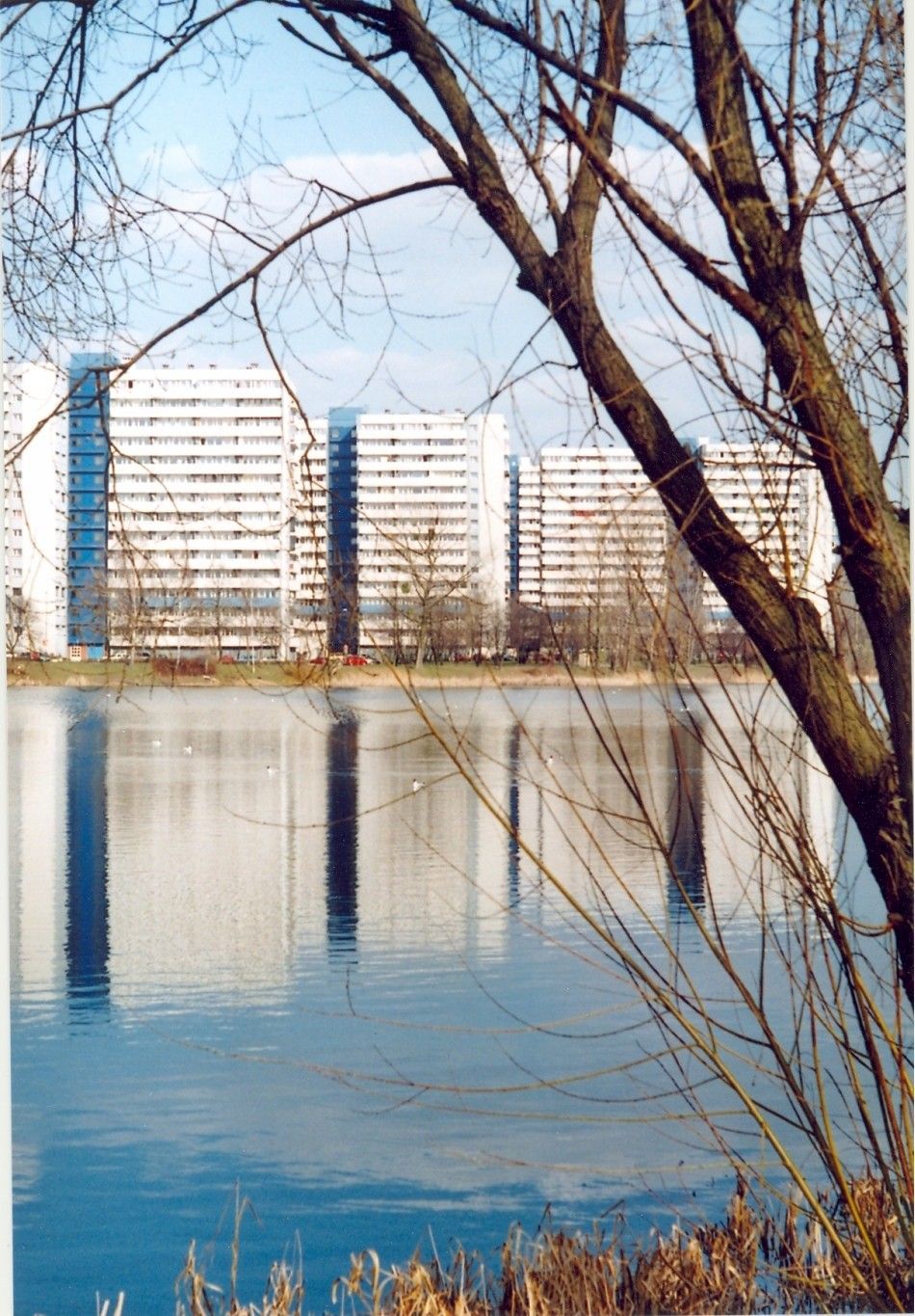 bloki