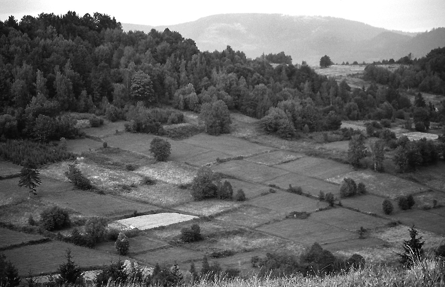Beskid Śląski