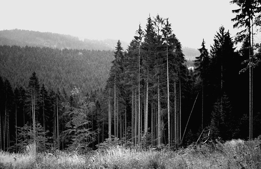 Beskid Śląski