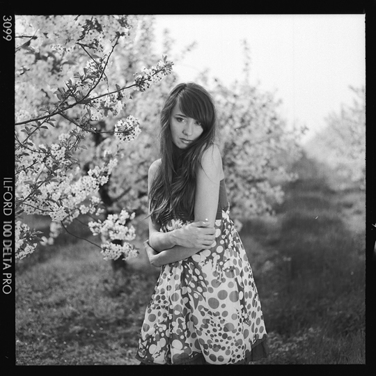Sylwia
