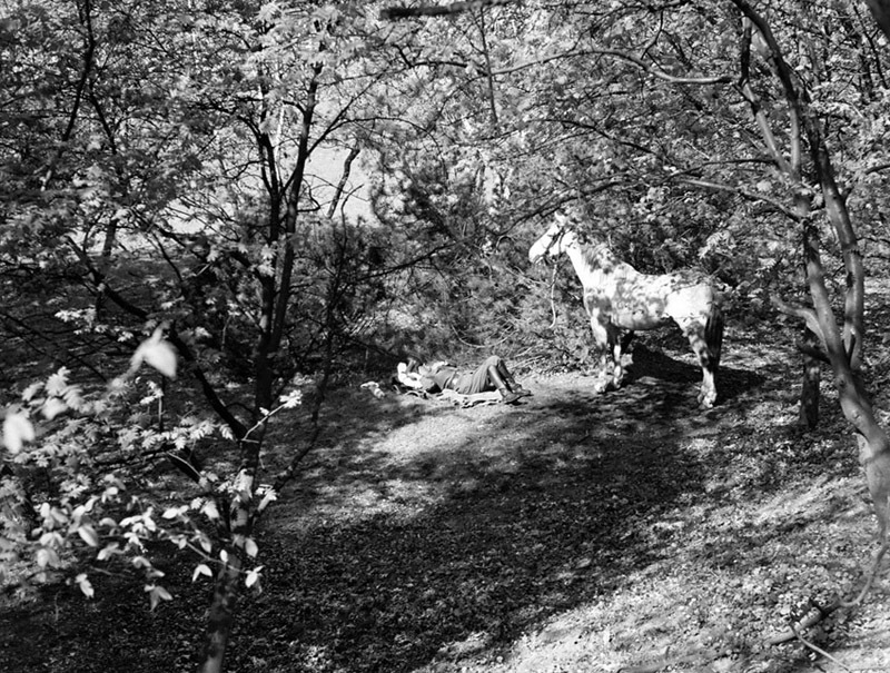 odpoczynek w zaciszu drzew..:)