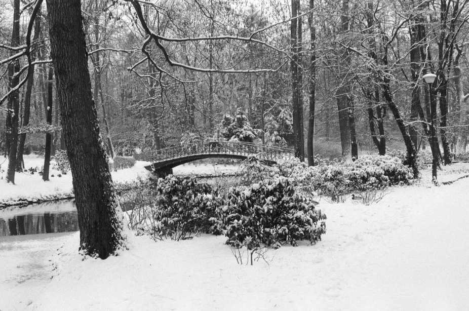 Park Szczytnicki, Wrocław 2010