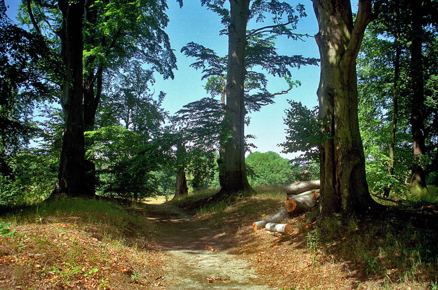 Park Mużakowski