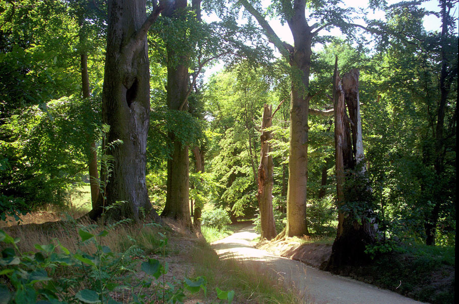 Park Mużakowski