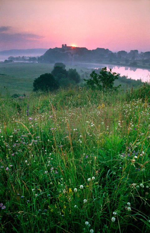 Tyniec