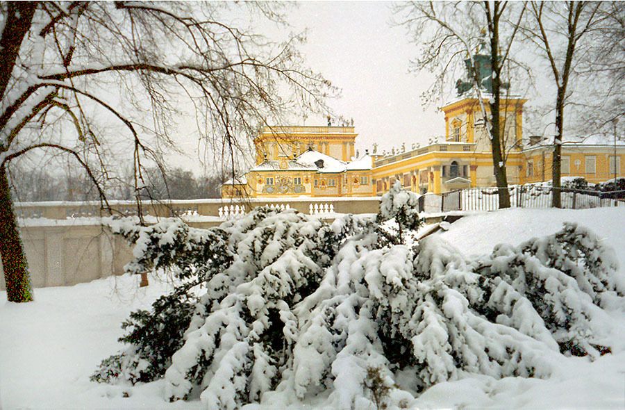 Wilanów zimą