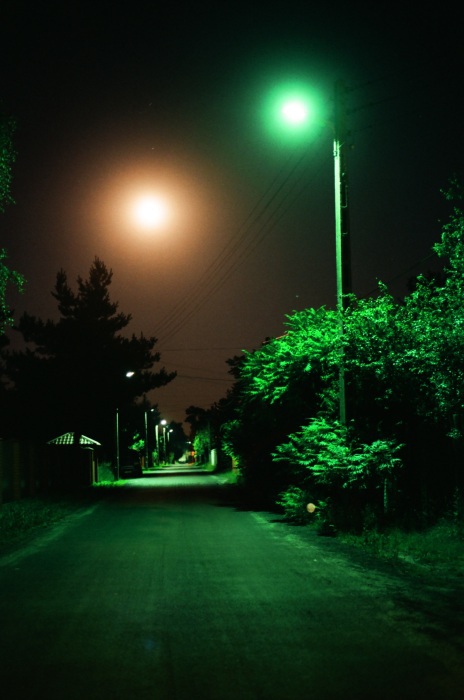Nocny widok