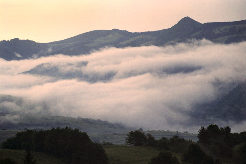 Widok na Pieniny