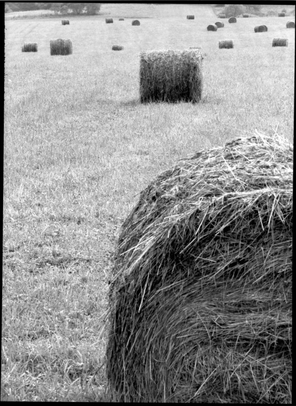 gdzieś na południu kraju