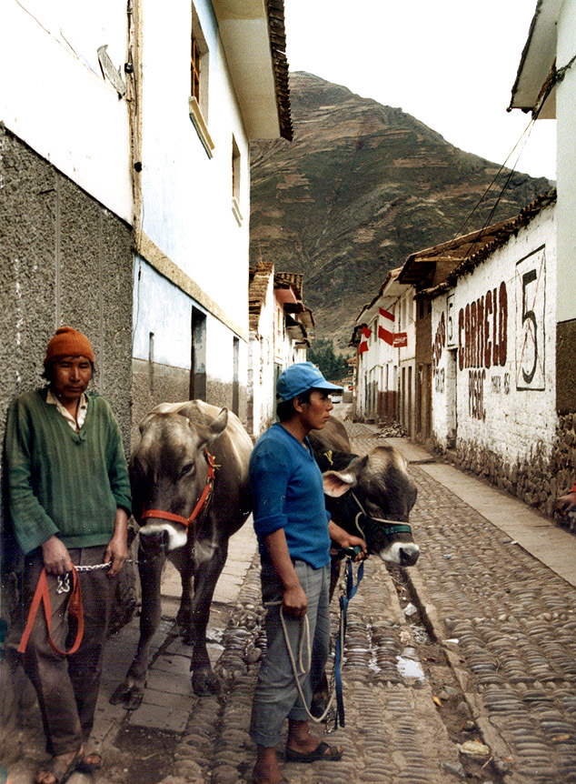 wieśniacy Pisac