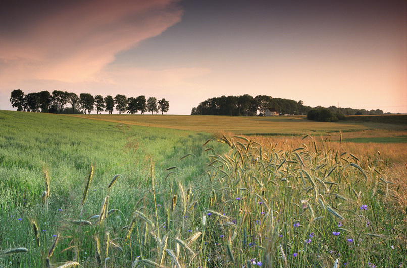 Wiosenne wspomnienia...