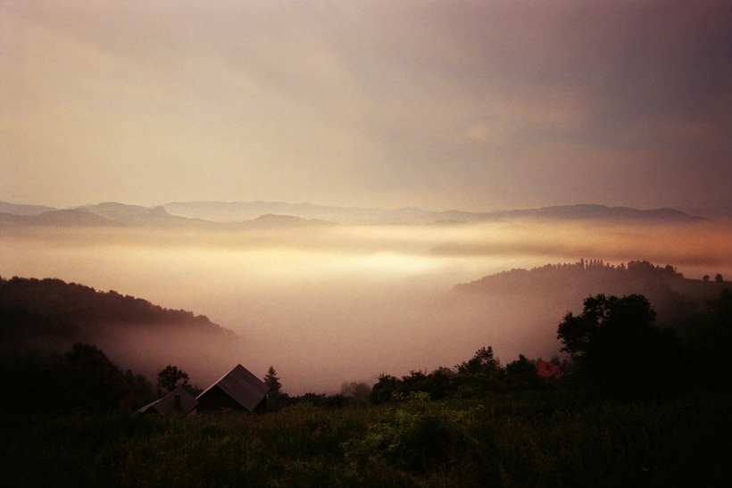 Nocne spacery nad brzegiem morza mgieł