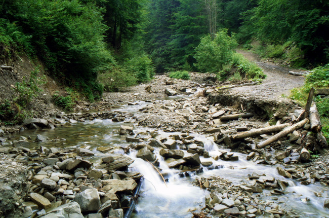 Niebieski szlak