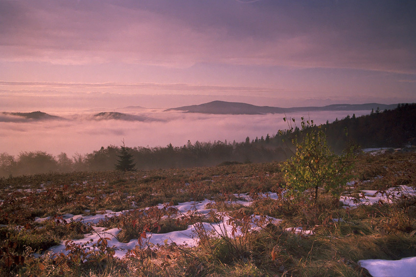Beskid Wyspowy o świcie