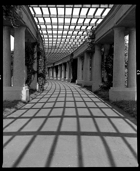 pergola