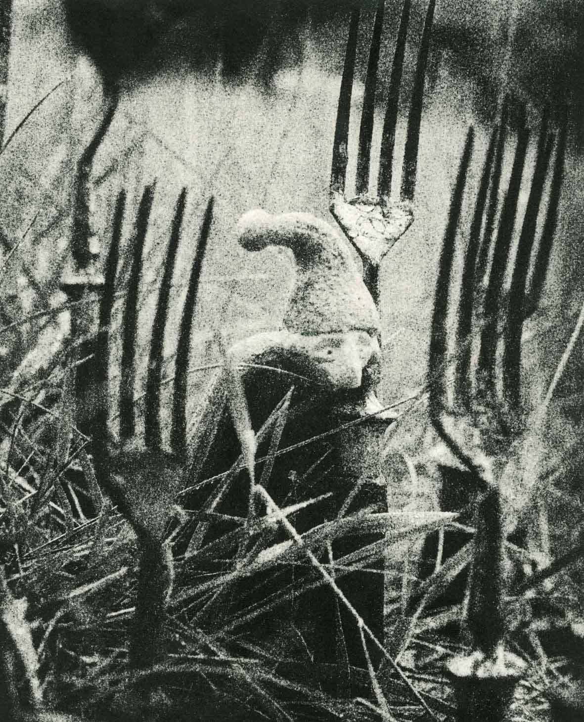 bez tytułu