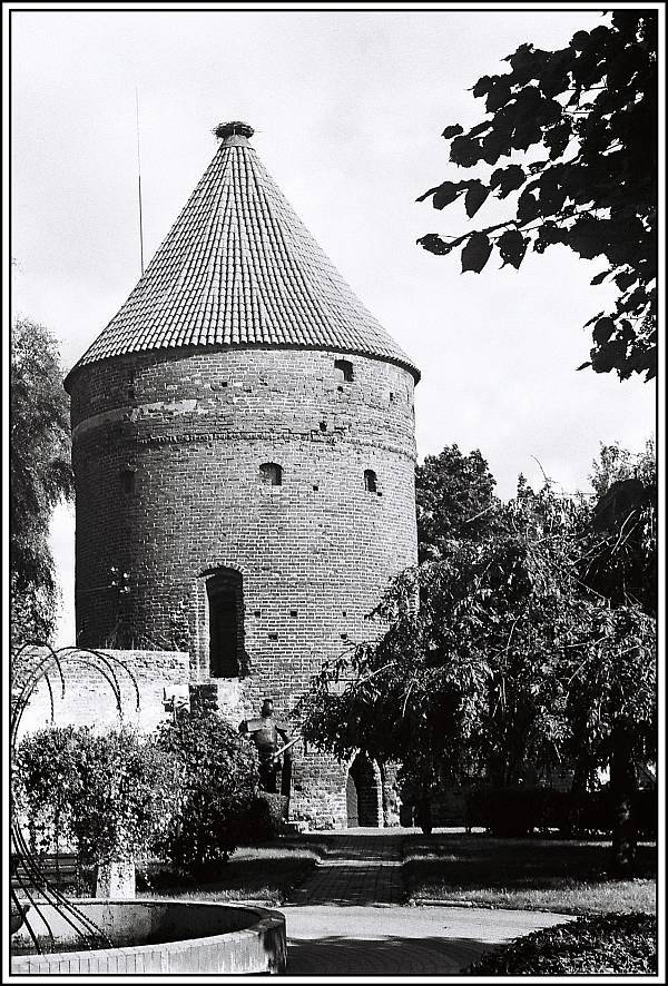 Baszta Bociania
