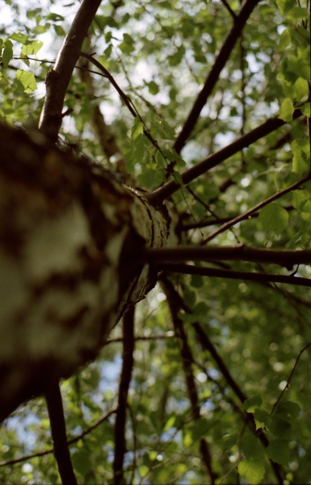 pod parasolem.