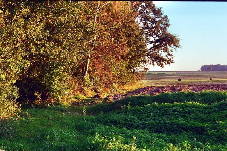 jesień