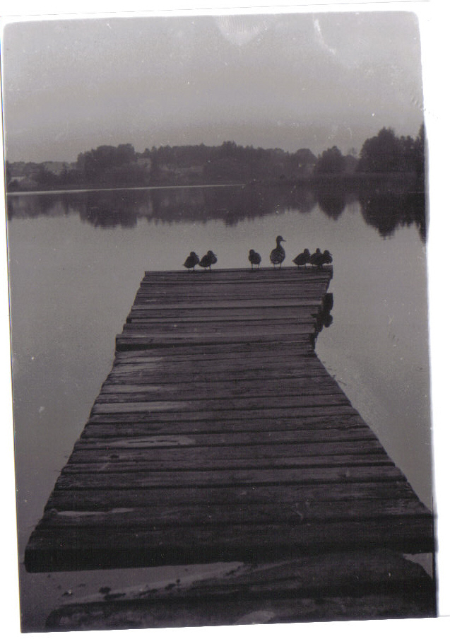 kaczuszki