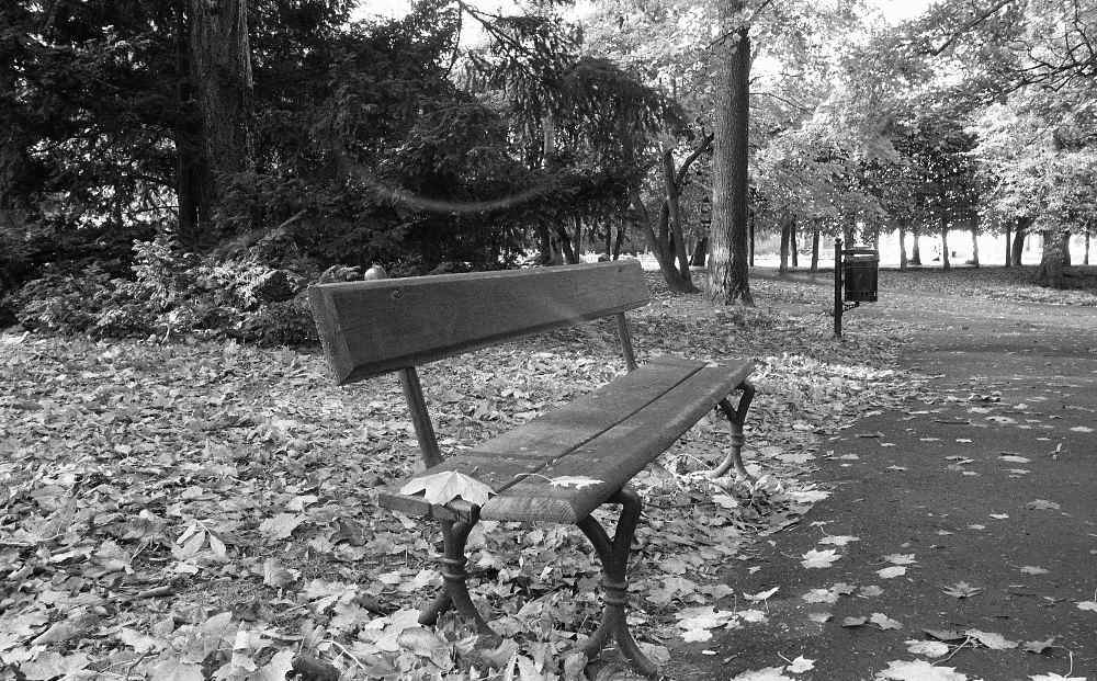 jesienny park