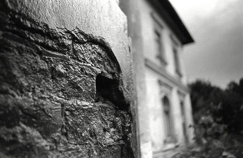 Mięso