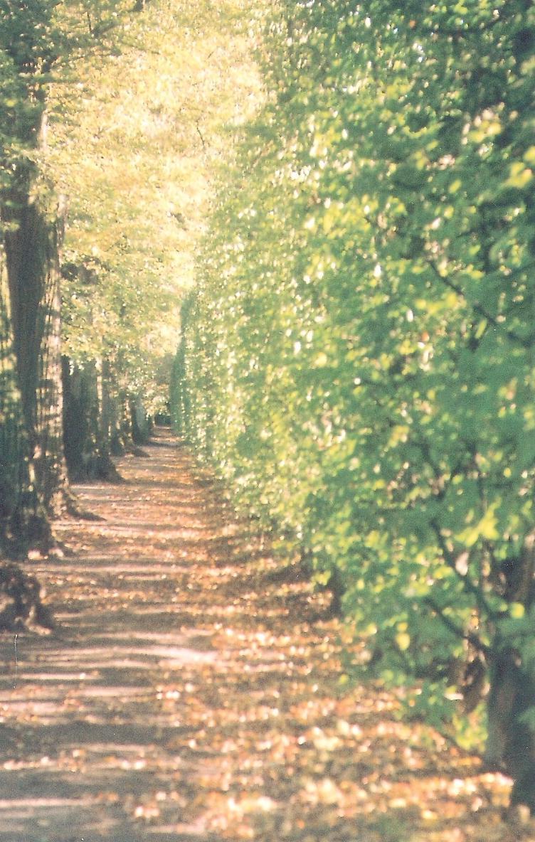 Nieborów